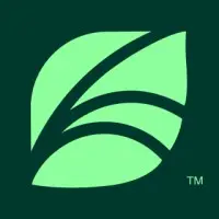 Jobs at Spring Health