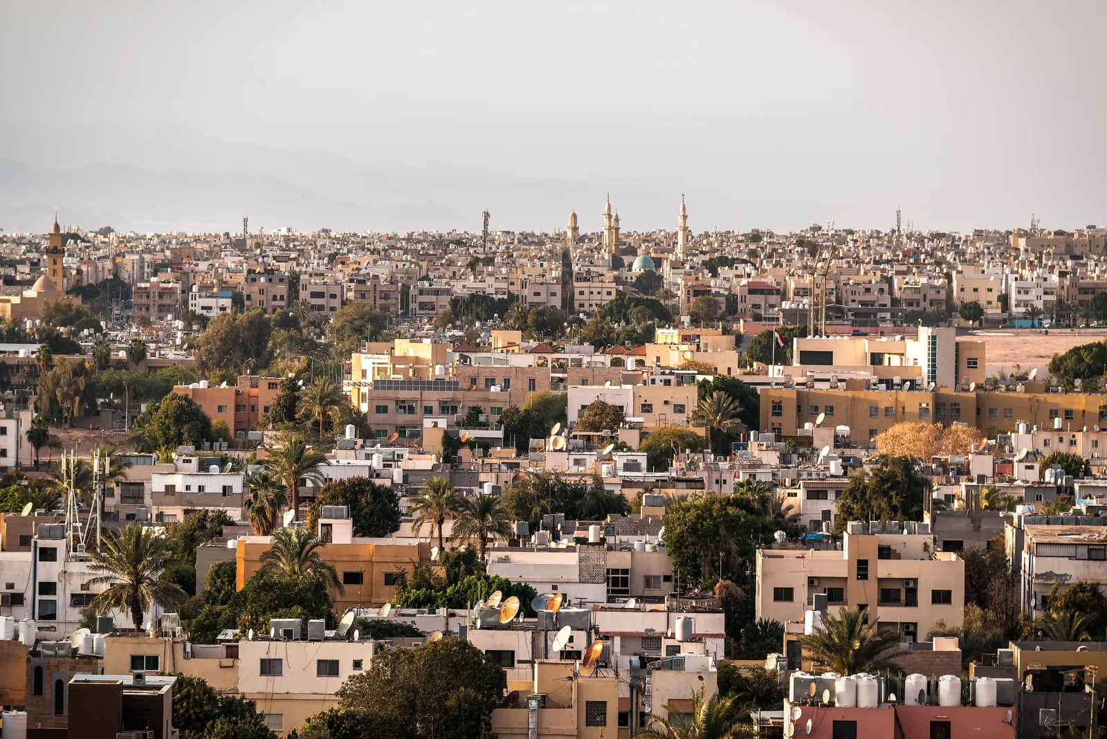 Buildings and palm trees in Aqaba, Jordan